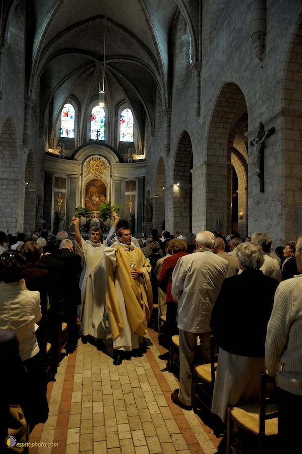 Nom de l'image : D30099632_1_(c)Norbert-JUNG — Description :